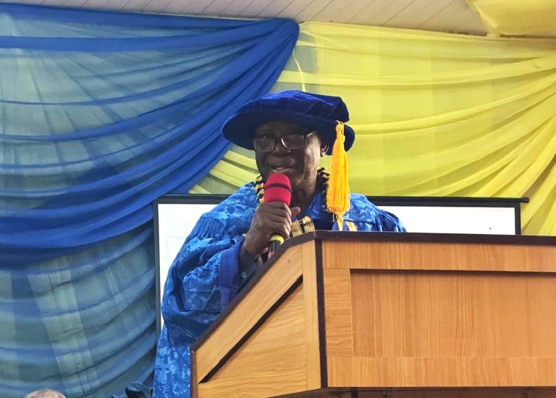 Prof Nnaji Suggests Immediate Steps to Stabilize Power Sector